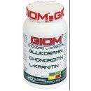 GIOM ERA Chondro L-karnitin 400 g