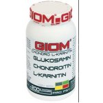 GIOM ERA Chondro L-karnitin 400 g – Zboží Mobilmania