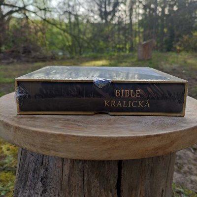 Poznámková Bible kralická černá, pravá kůže/zlatá ořízka – Sleviste.cz