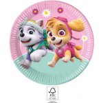 PROCOS TALÍŘ PAPÍROVÝ PAW PATROL 23 CM – Zbozi.Blesk.cz