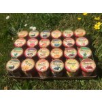 Tea Trade Company Pečený Babiččin ovocný čaj mix 24 ks – Zboží Dáma