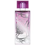 Lalique Amethyst Eclat parfémovaná voda dámská 100 ml tester – Hledejceny.cz