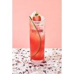 Beefeater Pink Gin 37,5% 0,7 l (holá láhev) – Sleviste.cz