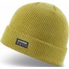 Čepice Dakine Hayden Beanie green moss