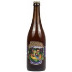 Matuška Apollo Galaxy 13° 0,7 l (sklo) – Zbozi.Blesk.cz