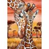 Puzzle AnaTolian Žirafy 500 dílků