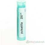 PULSATILLA POR 200CH GRA 4G – Hledejceny.cz