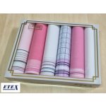 Etex Dámské kapesníky dárkové Sindy A 6ks – Zboží Dáma