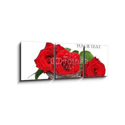Obraz s hodinami 3D třídílný - 150 x 50 cm - Red roses and petals in a wooden spa bowl Červené růže a okvětní lístky v dřevěné lázni