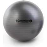 Ledragomma Gymnastik Ball Maxafe 53 cm – Zbozi.Blesk.cz