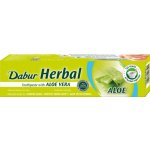 Dabur Ajurvédská zubní pasta s Aloe Vera 100 ml – Hledejceny.cz