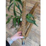 Sisalová opora 50 cm – Zboží Dáma