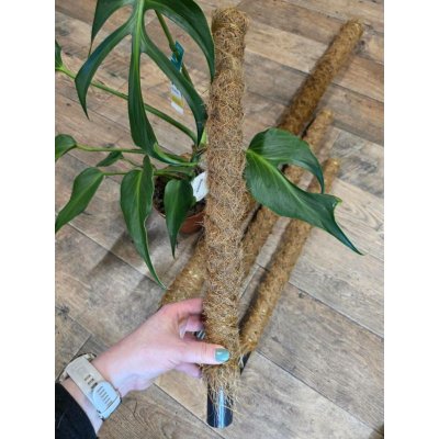 Sisalová opora 50 cm – Zboží Dáma