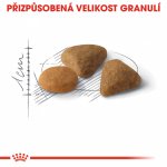 Royal Canin Exigent savour kuřecí 0,4 kg – Sleviste.cz