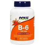 Now Vitamin B6 Pyridoxin 100 mg 250 kapslí – Hledejceny.cz