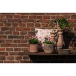 Clayre & Eef Cementové pítko a krmítko pro ptáky ve tvaru košíku 24 x 19 x 11 cm – Zboží Mobilmania