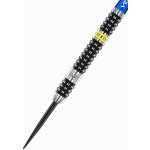 Winmau steel Paul Nicholson 22g, 90% wolfram – Sleviste.cz