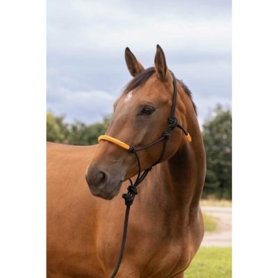 NORTON Provazová ohlávka s vodítkem černá /neon orange – Zboží Dáma