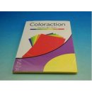 Coloraction 111433