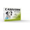 Caniverm forte 0,7 g 6 ochucených tablet