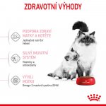 Royal Canin Mother & BabyCat 4 kg – Zboží Mobilmania