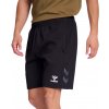 Pánské kraťasy a šortky Hummel šortky HMLTRAVEL shorts 220309-2001