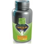 AlterVet Trade Cartilan CBD+ 40 tbl – Zboží Dáma