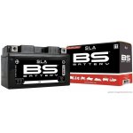 BS-Battery BTX20L