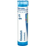 KREOSOTUM POR 9CH GRA 1X4G – Hledejceny.cz