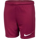 Nike DRI-FIT PARK 3 JR – Zbozi.Blesk.cz