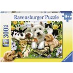 Ravensburger Veselé přátelství zvířat 300 dílků – Hledejceny.cz