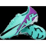 Nike Zoom Mercurial Vapor 15 Academy FG/MG DJ5631-300 – Zbozi.Blesk.cz