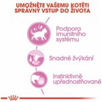 Versele-Laga Nature Cavia Morče 0,7 kg – Hledejceny.cz
