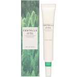 SKIN1004 Ošetřující krém na nedokonalosti pleti a skvrn Madagascar Centella 20 ml – Zboží Mobilmania
