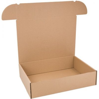 Eobaly.cz krabice na tiskoviny A3 430 x 310 x 100 mm 100 ks – Zboží Živě