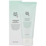 Beauty of Joseon Green Plum Refreshing Cleanser 100 ml – Hledejceny.cz