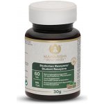 Maharishi Ayurveda Student Rasayana 60 tablet – Hledejceny.cz