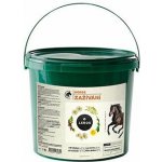 Root&Snoot Zažívání pro koně sypaná směs 1 kg – Hledejceny.cz