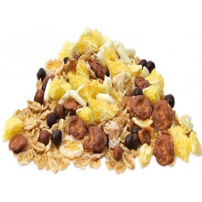 Mixit Čoko-ládování Musli s čokoládou 3 kg – Zboží Dáma