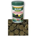 Prodac Algae Wafers 50 g – Hledejceny.cz