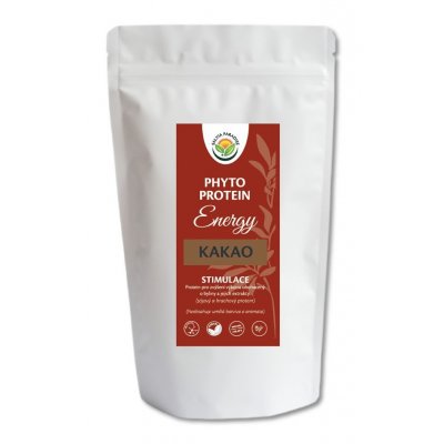 Salvia Paradise Phyto Protein Energy - kakao 300 g – Zboží Mobilmania