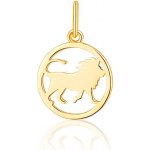 JVD Stříbrný pozlacený přívěsek znamení LEV v kolečku SVLP1080X61GOLE – Zboží Mobilmania