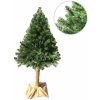 Vánoční stromek Garden Style Smrk Horský Výška: 70 cm