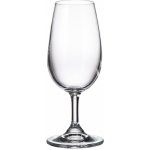 Bohemia Crystalite tasting OIV 210 ml – Sleviste.cz