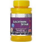 TCM herbs patentní medicína Nápoj ze zlatého kořene 100 g – Hledejceny.cz