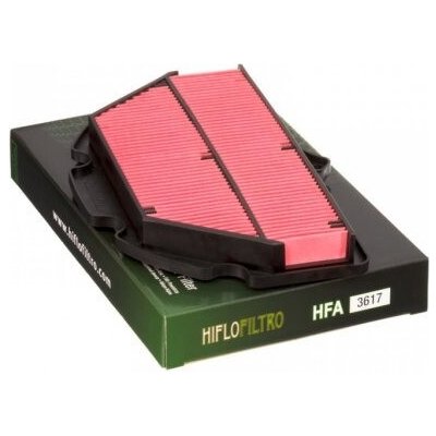 Vzduchový filtr HIFLOFILTRO HFA3617 – Hledejceny.cz