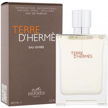 Hermes Terre d´Hermès Eau Givrée parfémovaná voda pánská 100 ml