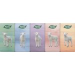 Tento papírové kapesníčky 3-vrstvé 10 x 10 ks – Zboží Dáma