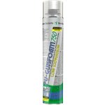 Den Braven Nízkoexpanzní pěna Winter 750 ml – Sleviste.cz