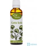 Serafin Gotukola tinktura z bylin 50 ml – Hledejceny.cz
